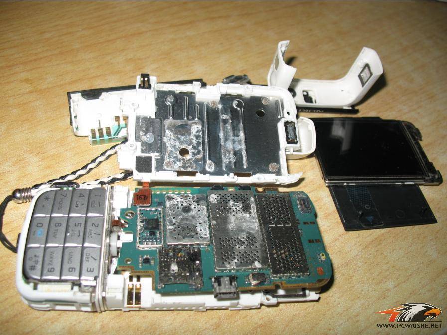 ��.����������ɹ�ֻ�����?