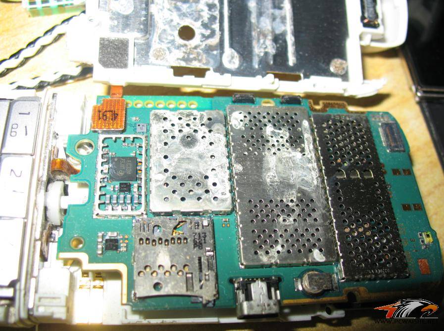 ��.����������ɹ�ֻ�����?