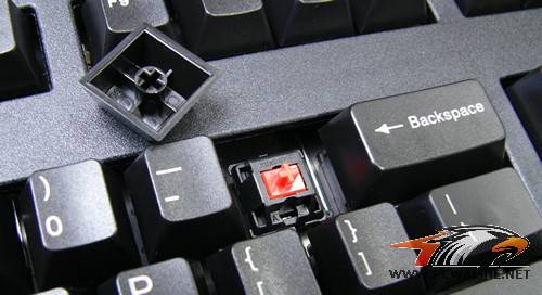 ���ո�CAO~3494������һ��Ȼ��һģһ���ģ�