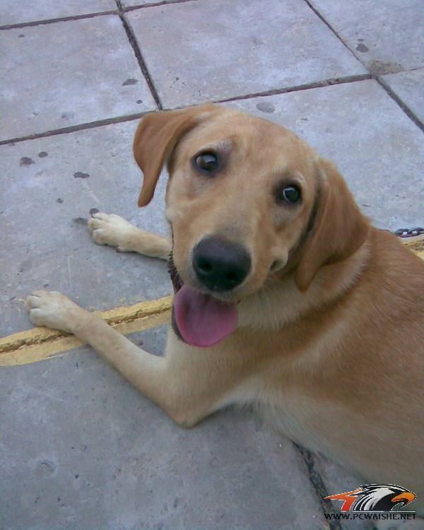 ����������ɹС����𣿹���