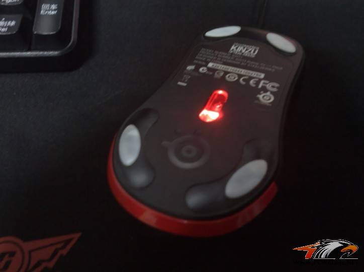 KINZU��ʵ��������ֱ����������������������ͼΪ֤��