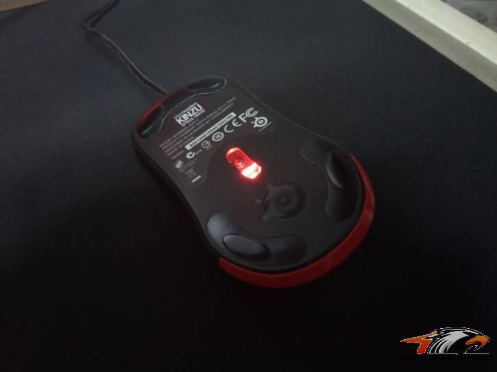 KINZU��ʵ��������ֱ����������������������ͼΪ֤��