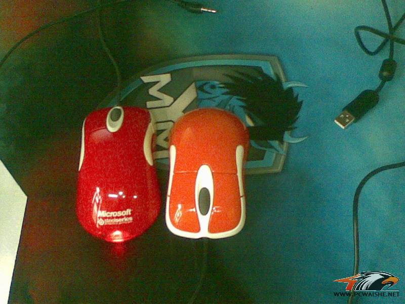 20110313.jpg