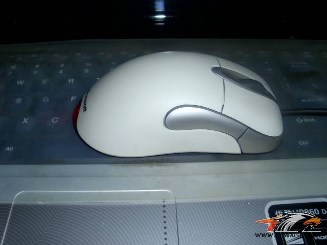 DSCI1480.JPG