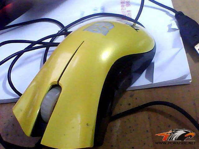 ͼƬ 018.jpg