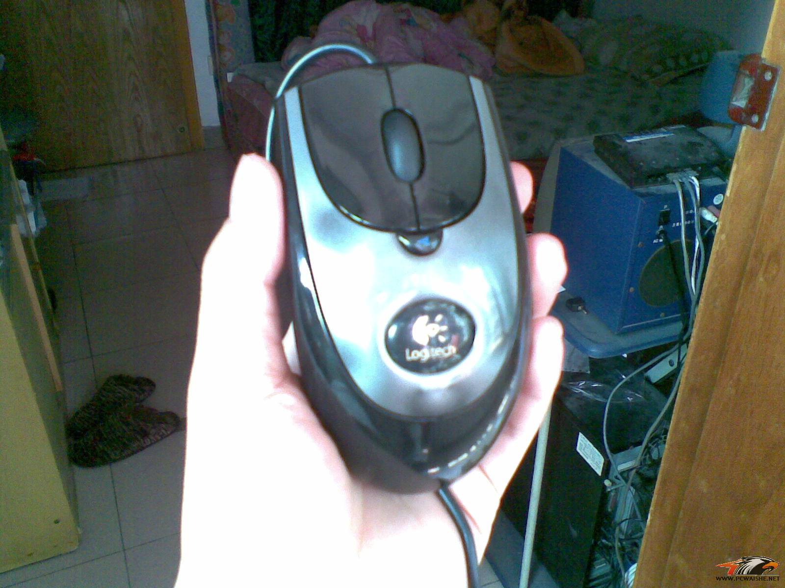 20110314(002).jpg