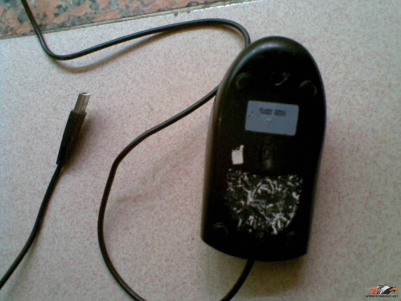 20110314.jpg