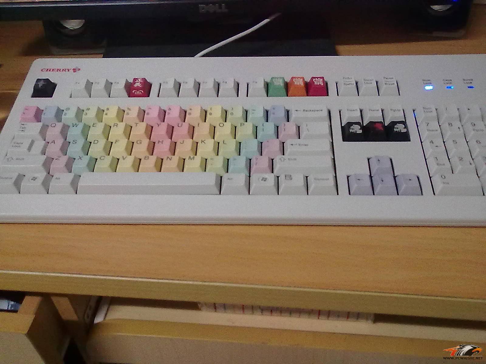 20110308051.jpg