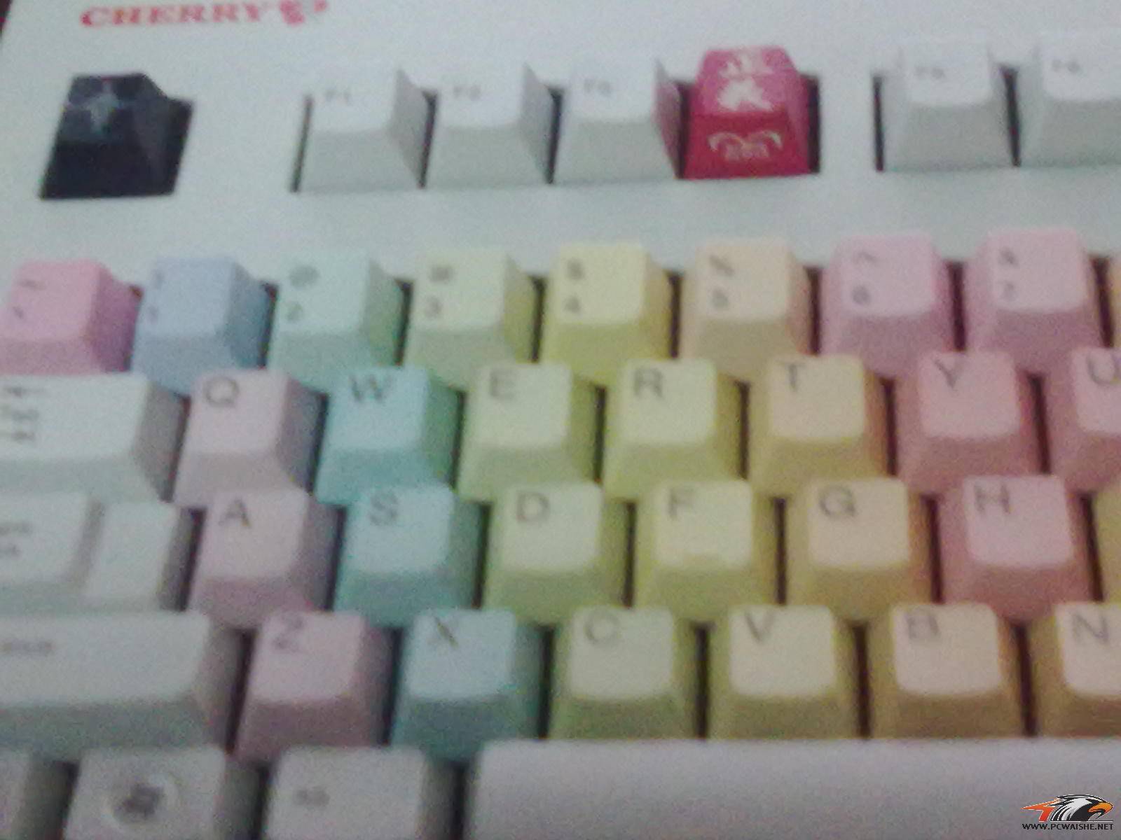 20110314052.jpg