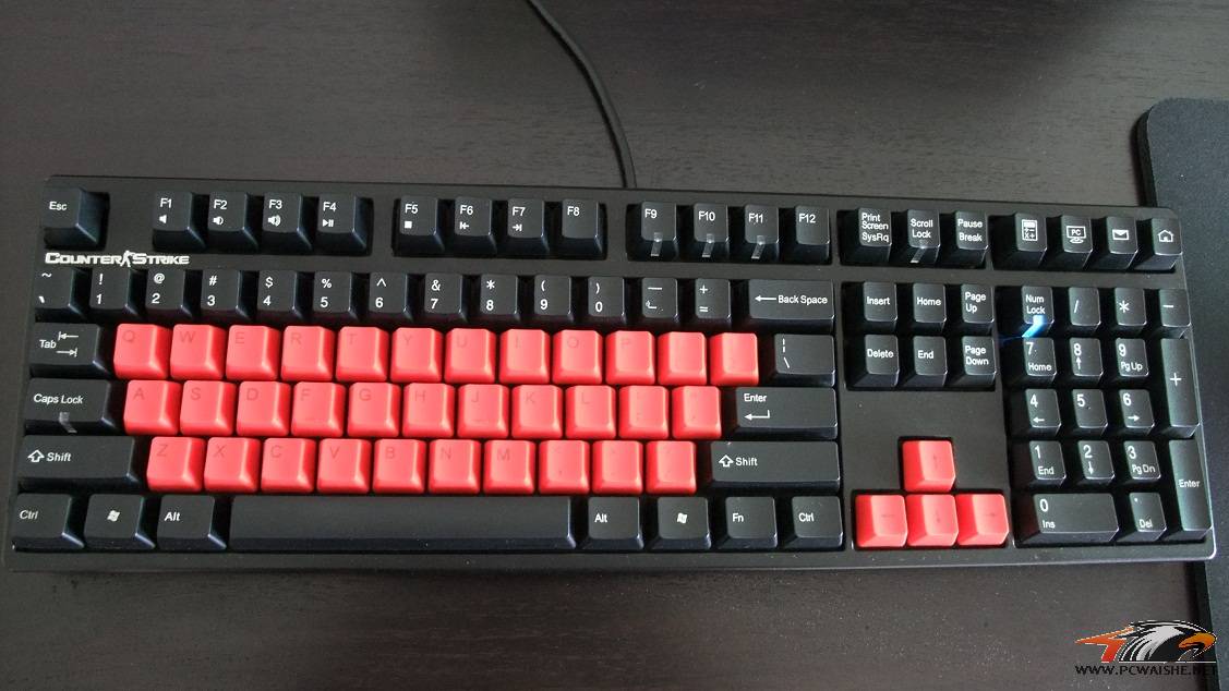 �ѳ�����������