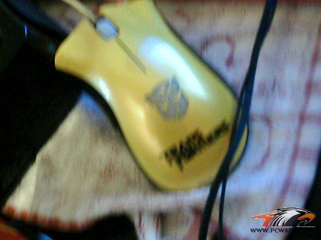 ͼƬ 004.jpg