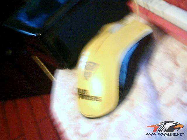 ͼƬ 005.jpg