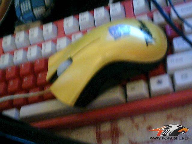 ͼƬ 003.jpg