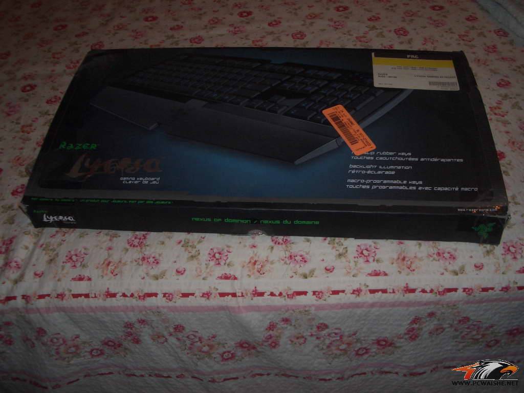 ���� IMGP5641.JPG