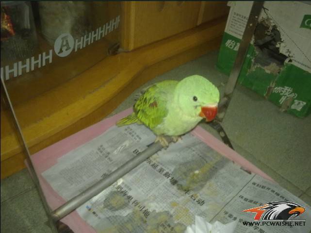 ���Ƴ��Ķ����������������Ҽҹ���ͼ���㶮�ģ�~����