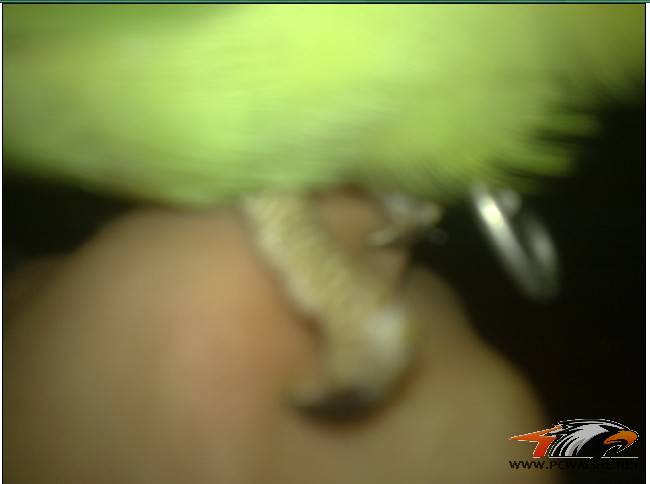 ���Ƴ��Ķ����������������Ҽҹ���ͼ���㶮�ģ�~����