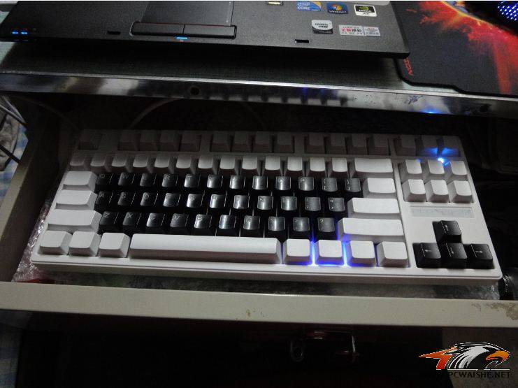 PLU87���Ա�����
