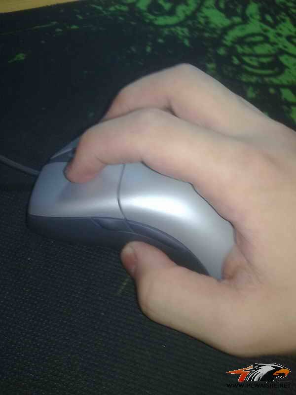 20110318066.jpg