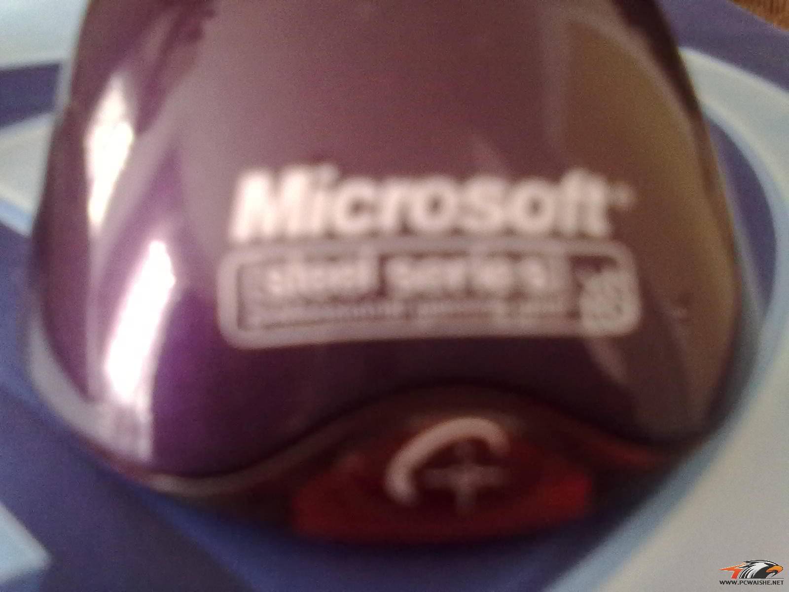 20110319226.jpg