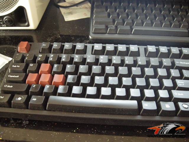 DSCN5791.JPG