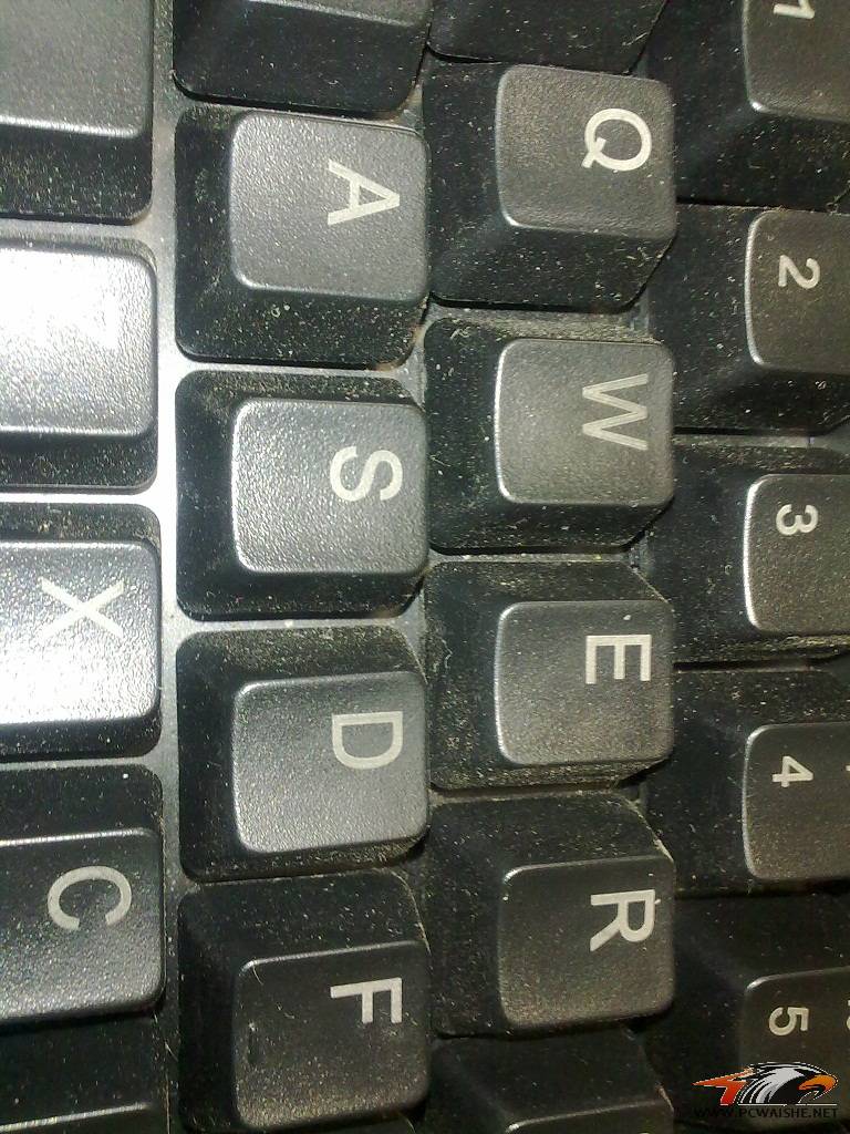 20110320530.jpg