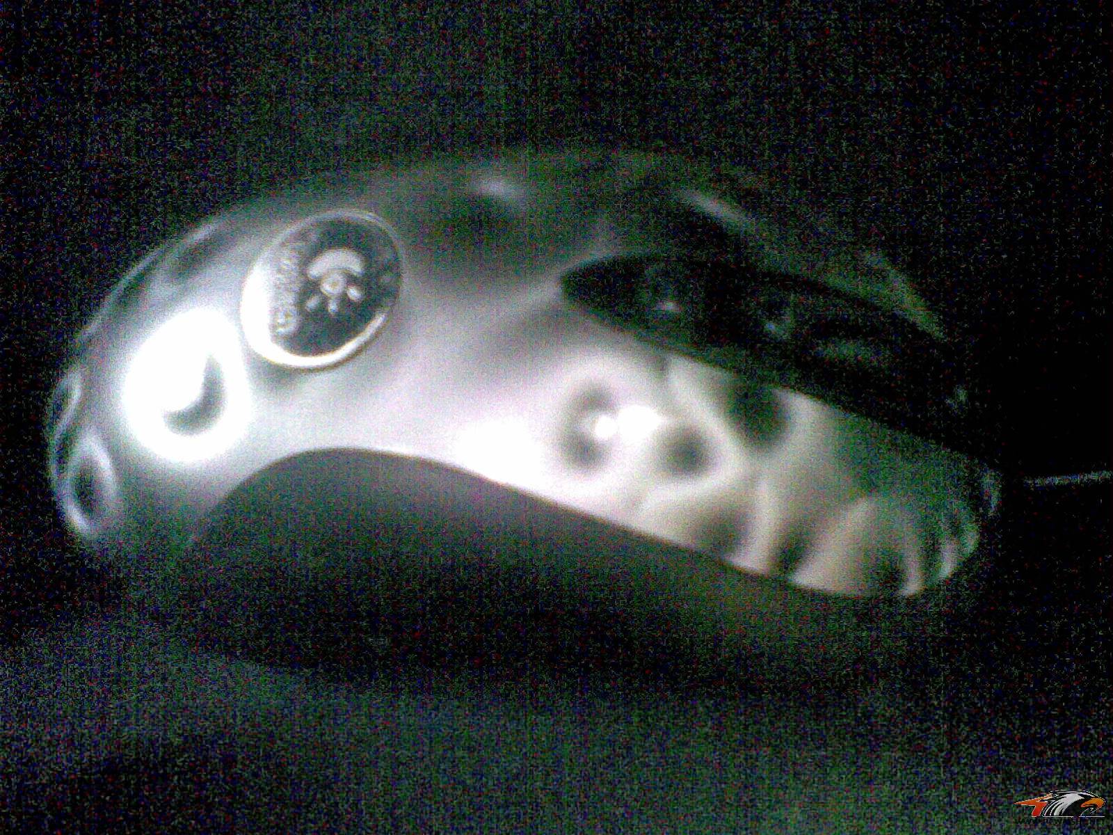 20110320(002).jpg