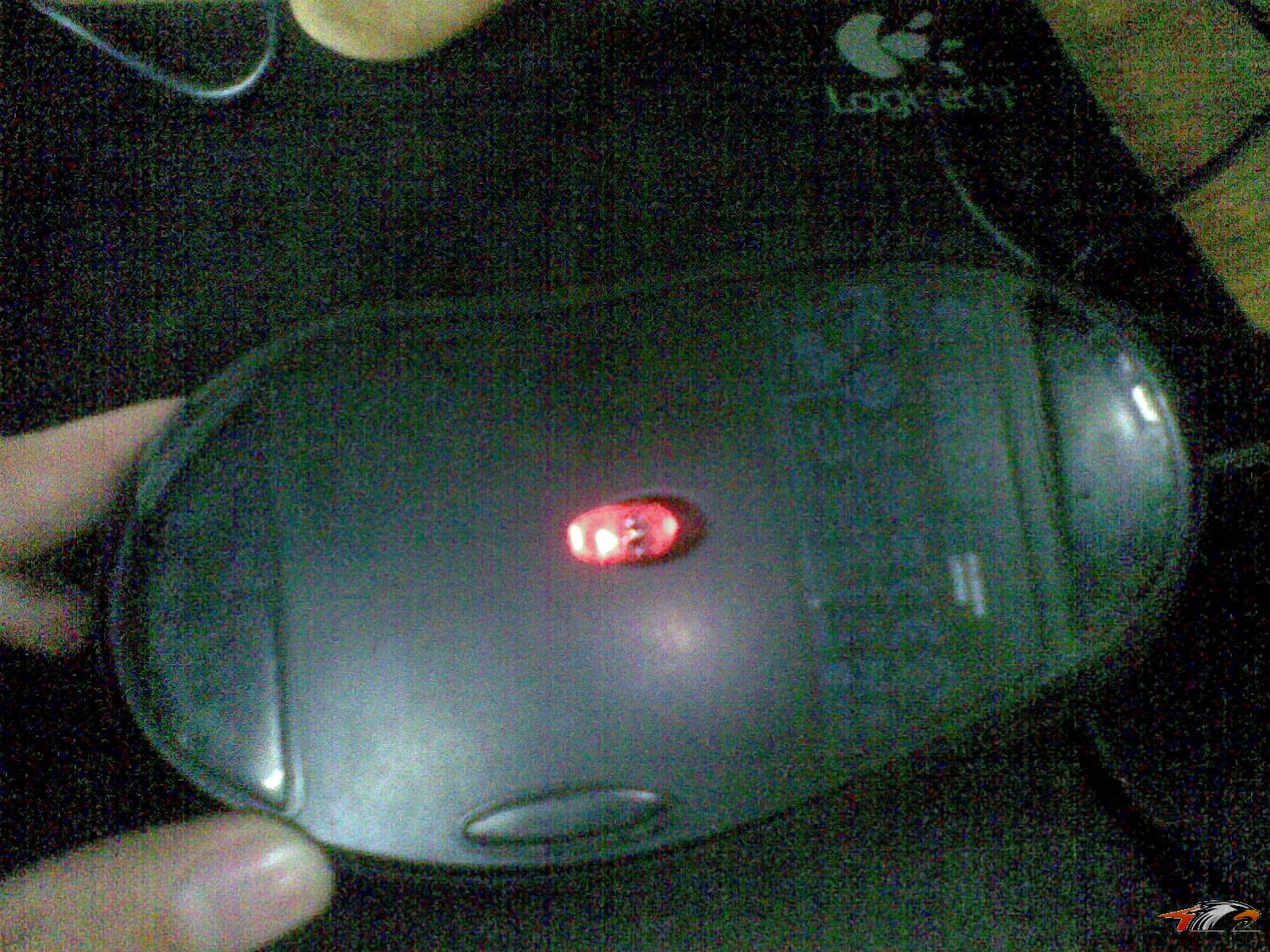 20110320(001).jpg