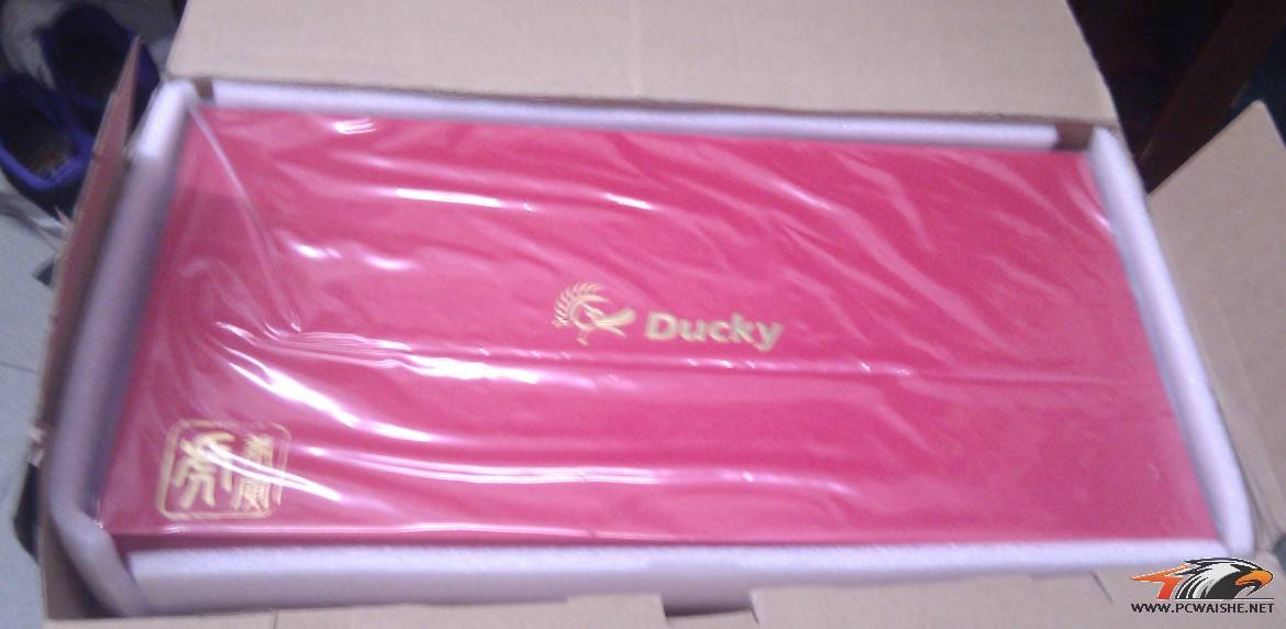 ����è��������99��Ducky �������� �������~~~�ֵ��ǿ�����~~�����밡~~