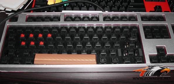 ʷ�������7g������~~~����5Сʱȷ����20~��