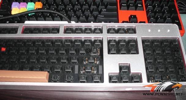 ʷ�������7g������~~~����5Сʱȷ����20~��