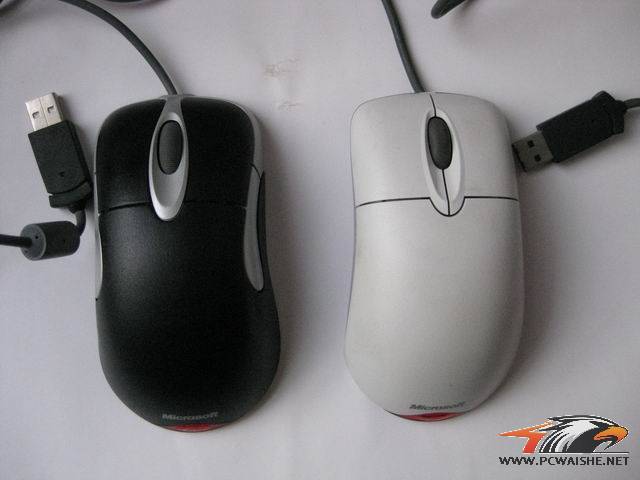 ������С IMG_2176.JPG