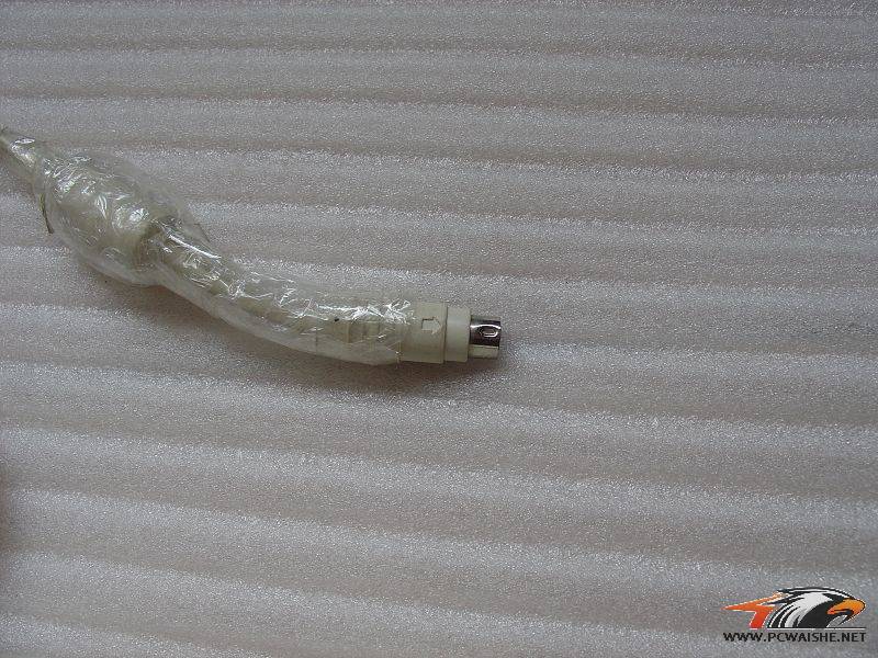 DSC03142.JPG