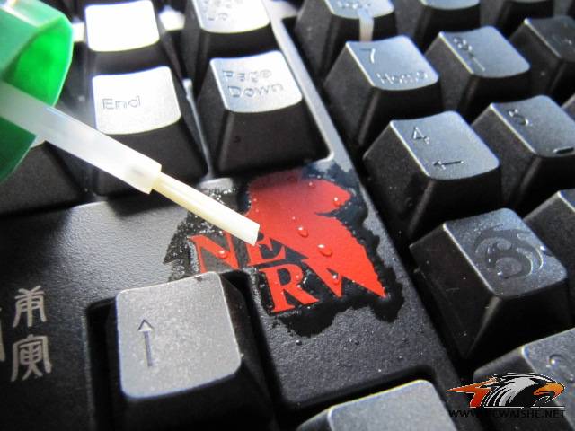СʮҵEVAŻŻ~~~~