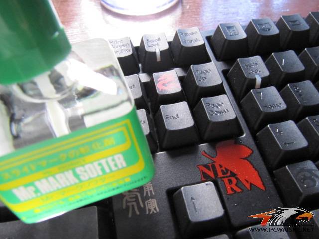 СʮҵEVAŻŻ~~~~