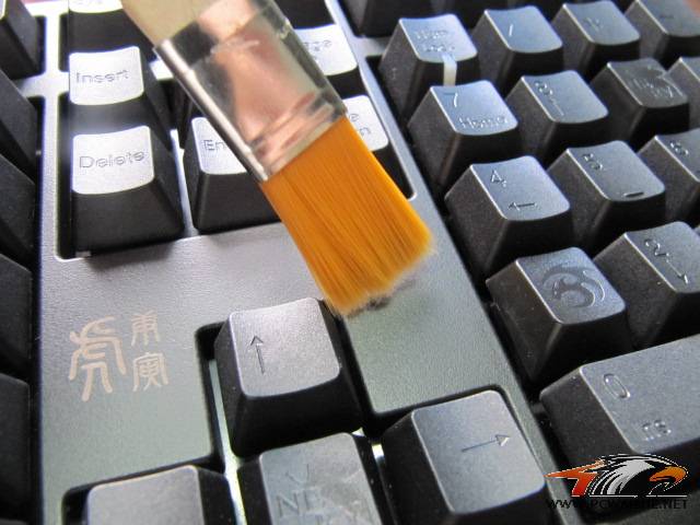 СʮҵEVAŻŻ~~~~