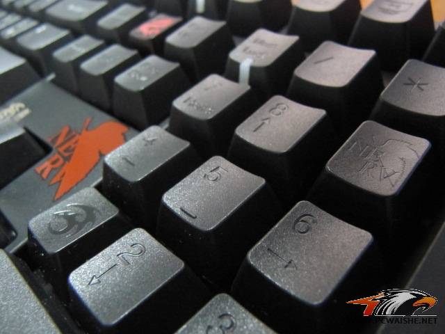 СʮҵEVAŻŻ~~~~