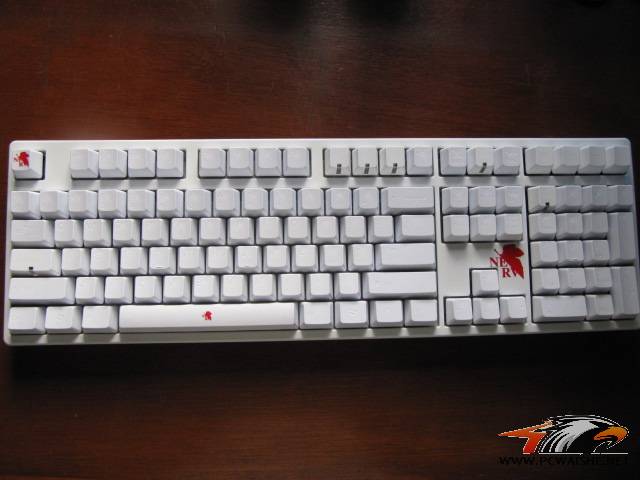 СʮҵEVAŻŻ~~~~