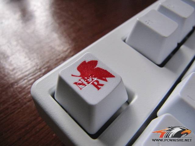 СʮҵEVAŻŻ~~~~