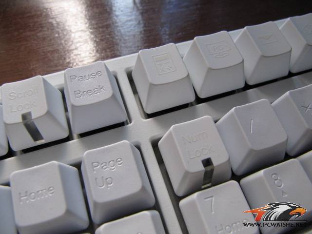СʮҵEVAŻŻ~~~~