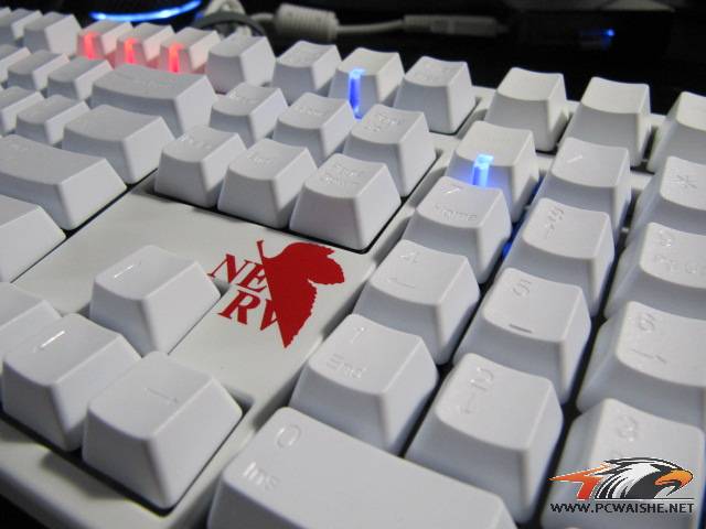 СʮҵEVAŻŻ~~~~