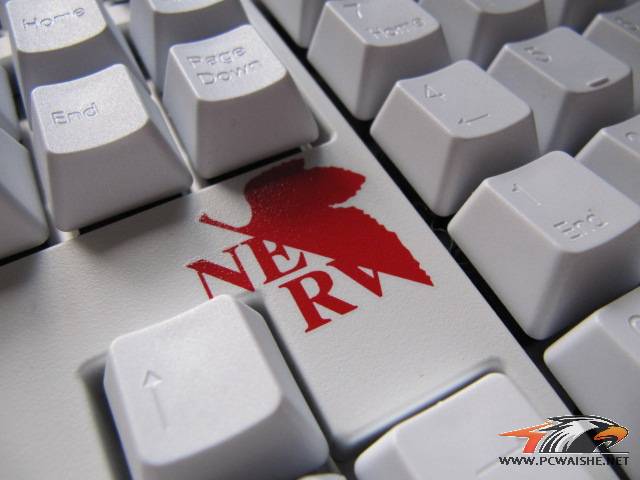 СʮҵEVAŻŻ~~~~