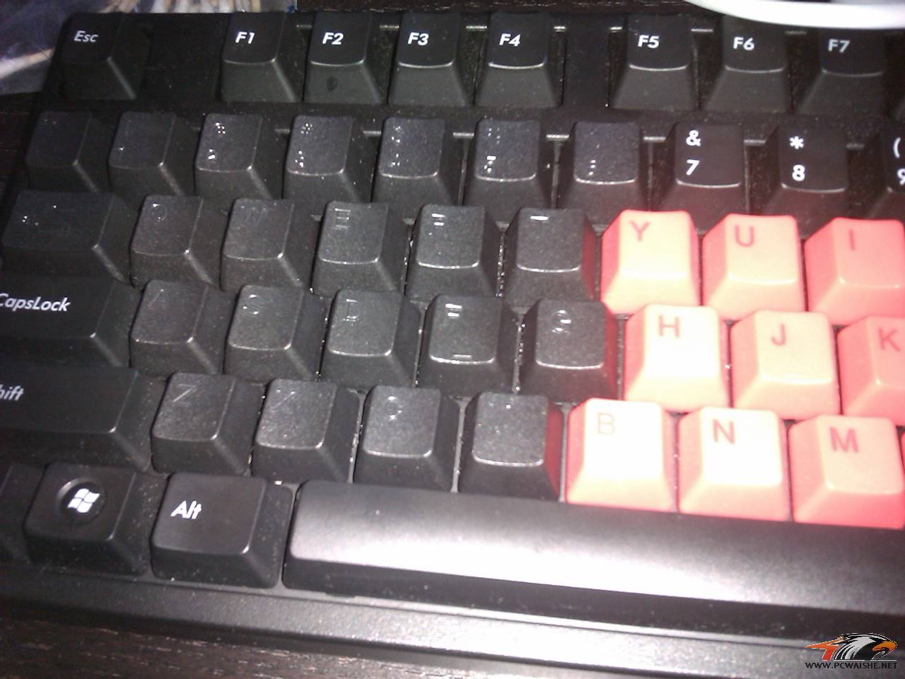 IMAG0030.jpg