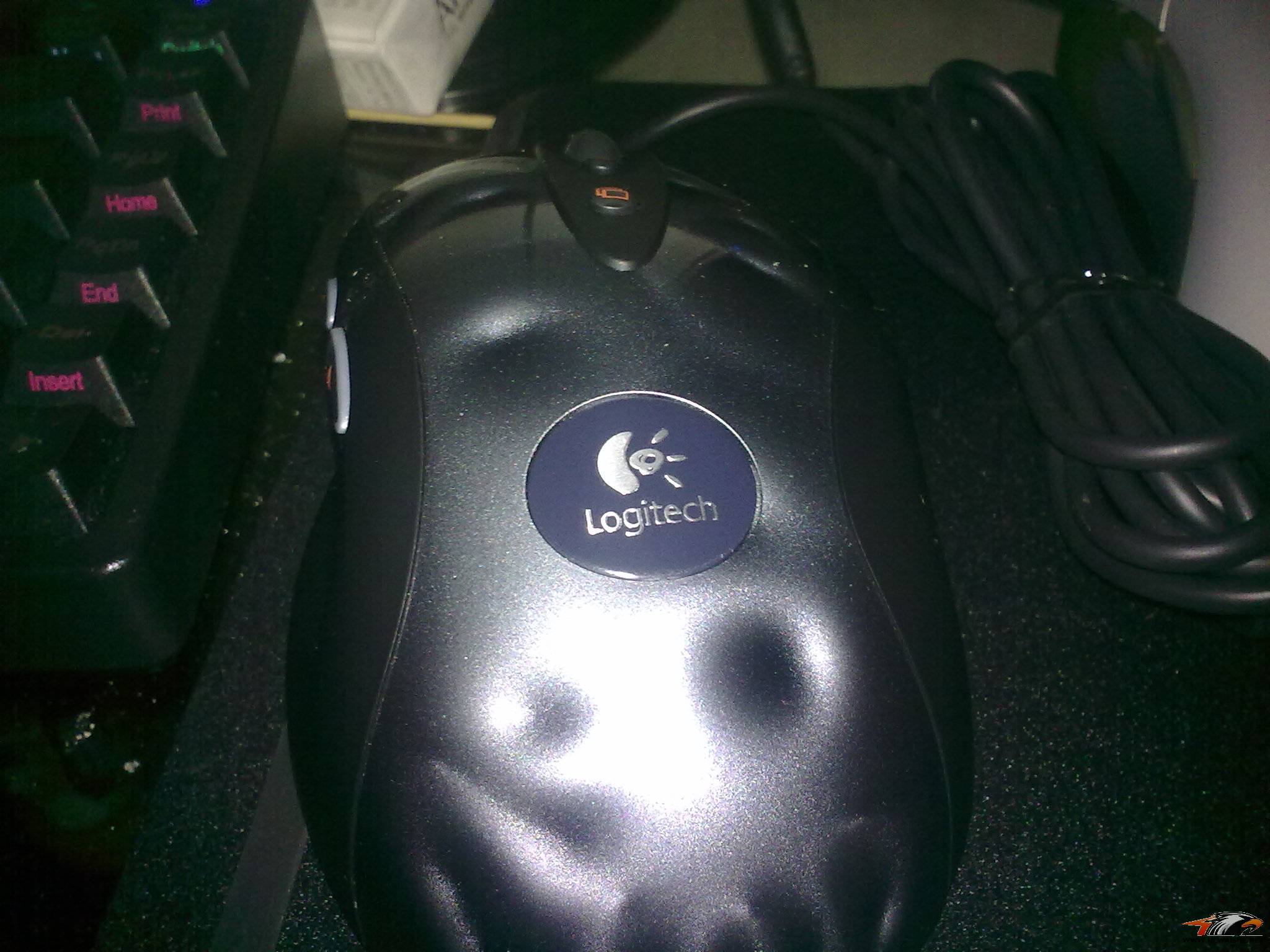 20110323030.jpg