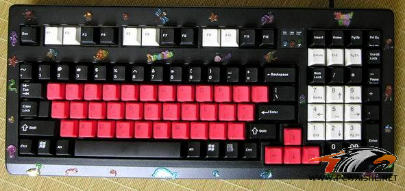 ��� ����ʲô���̣�