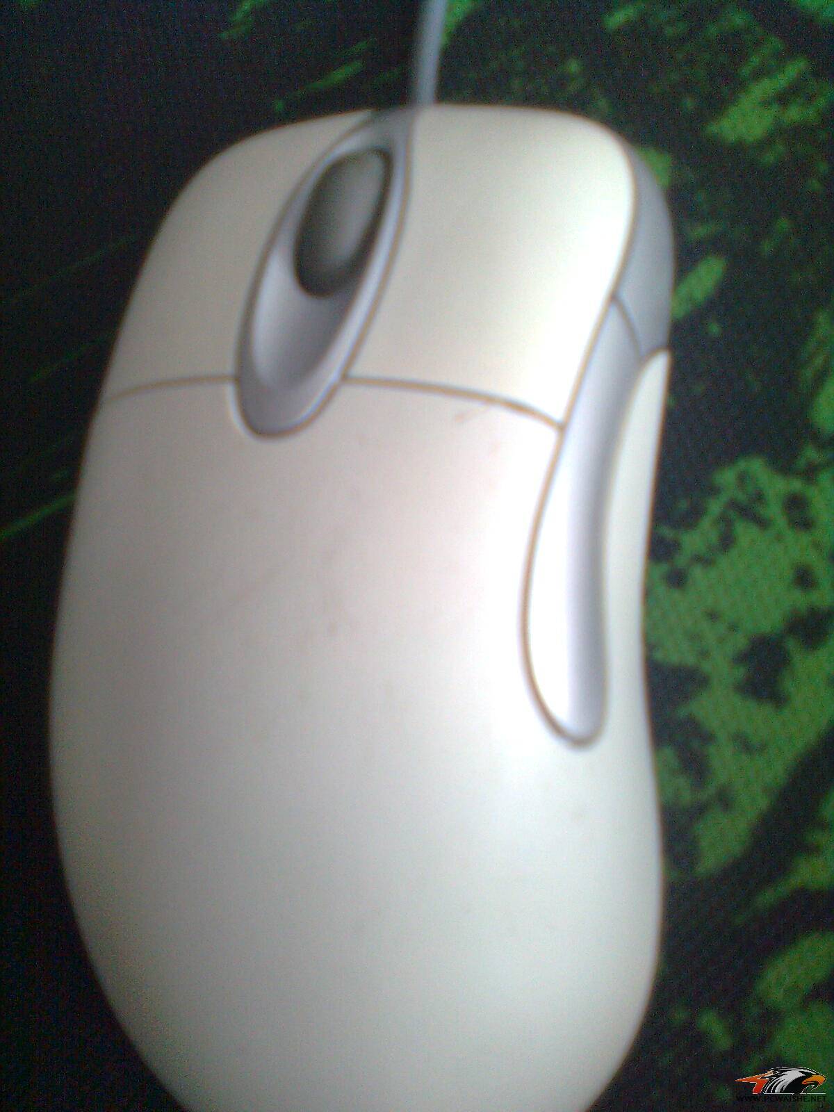 ͼ��0069.jpg