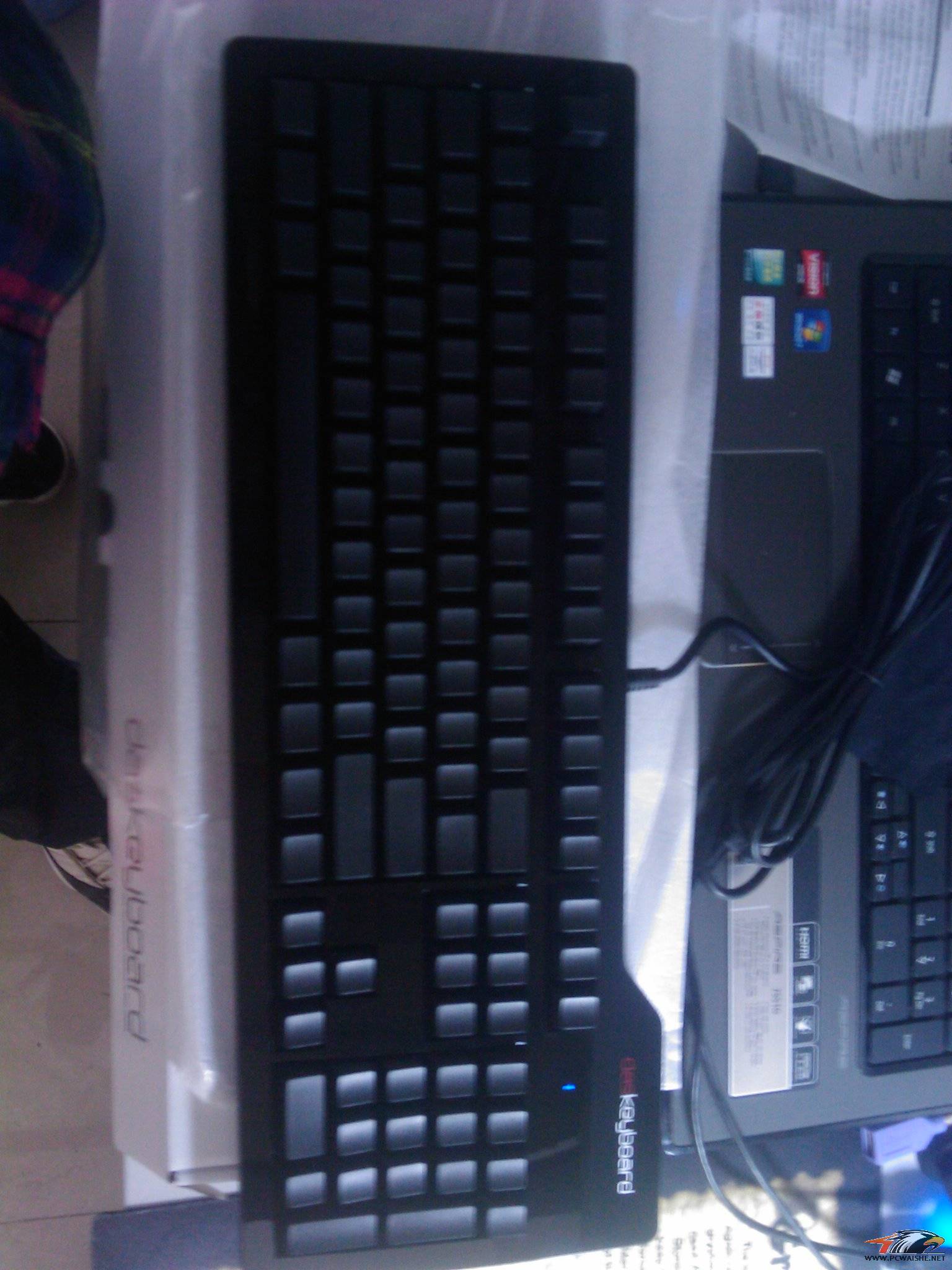 IMAG0033.jpg
