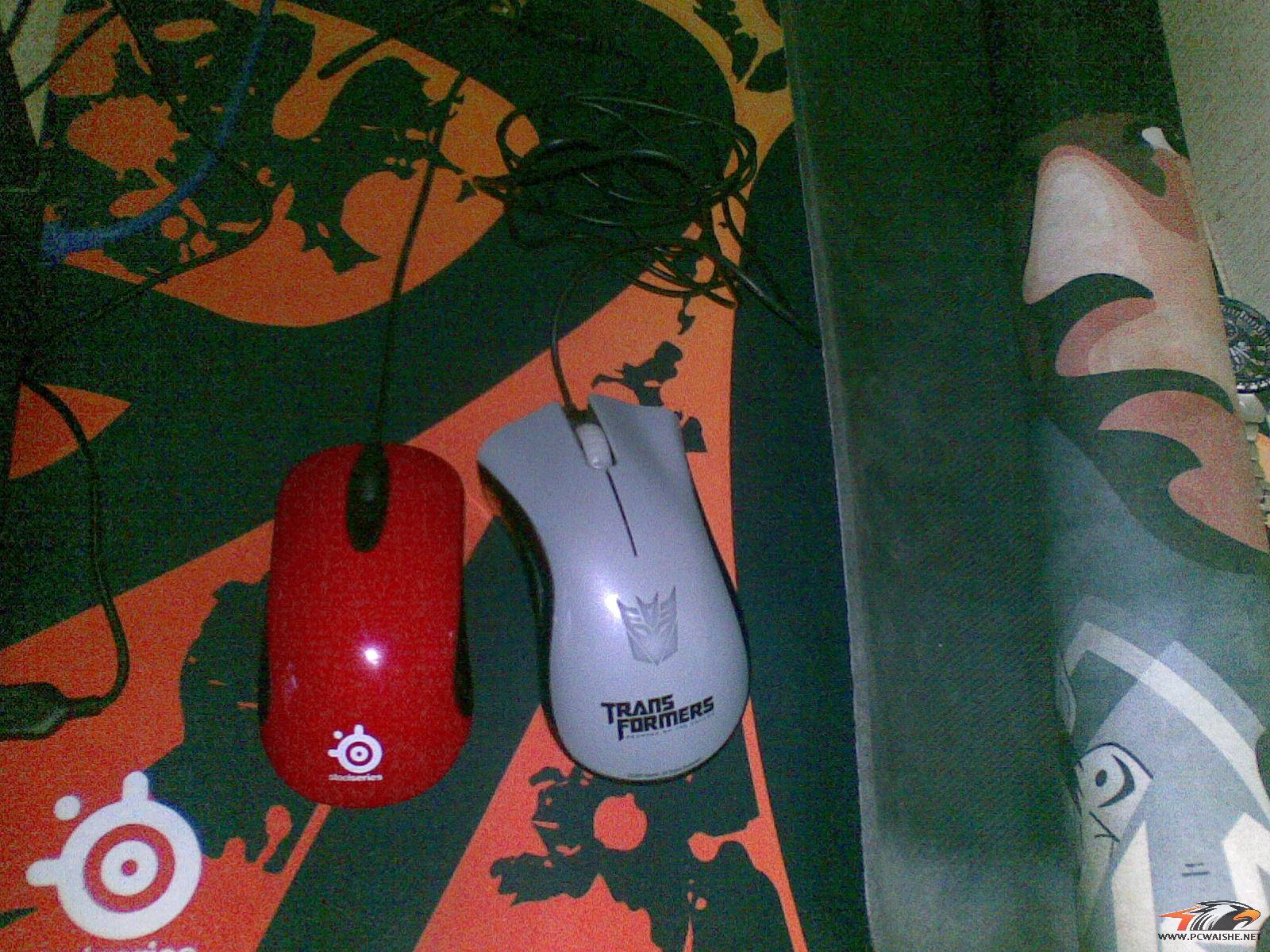 20110103_002.jpg