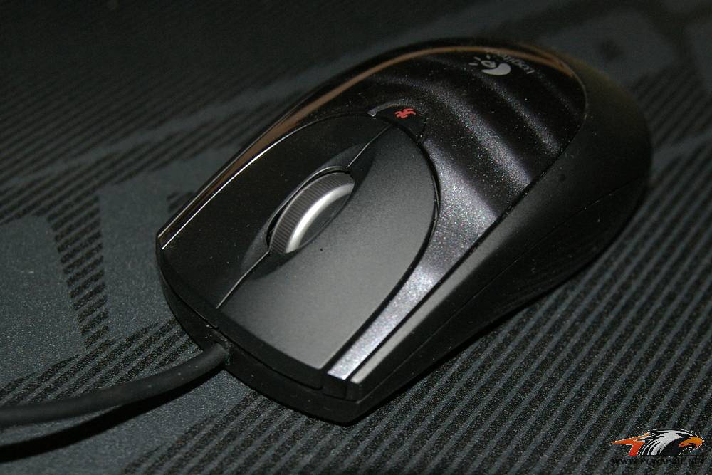 IMGP3387.JPG