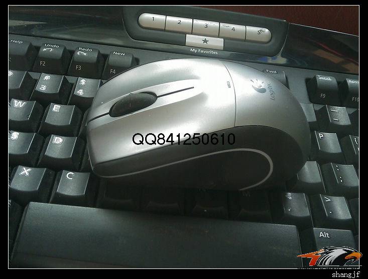 nEO_IMG_IMAG0093.jpg