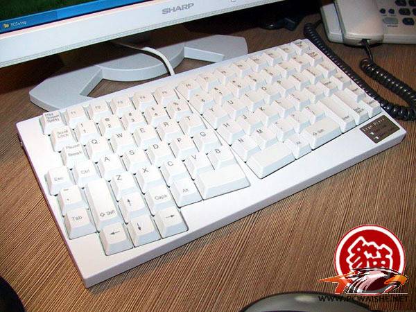 T1zuVbFepKMMBUGqHb_122811.jpg